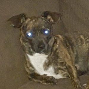 Meet your Posher, Salli